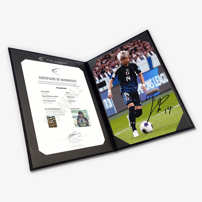 ������� ľɮ����������������ɽ2024�ե��� (A4)