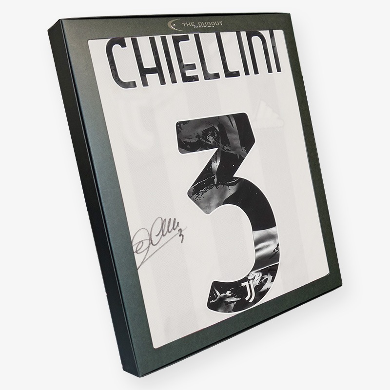 �����å꡼��ľɮ�����������٥�ȥ�21/22�ۡ����˥ե�����