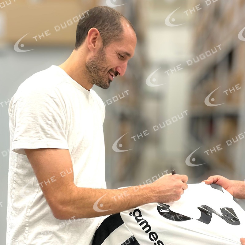 �����å꡼��ľɮ�����������٥�ȥ�21/22�ۡ����˥ե�����