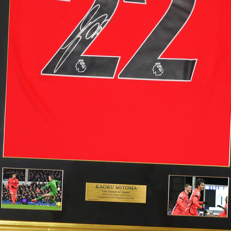 ������ ľɮ����������֥饤�ȥ�22/23����������˥ե����������ե졼��