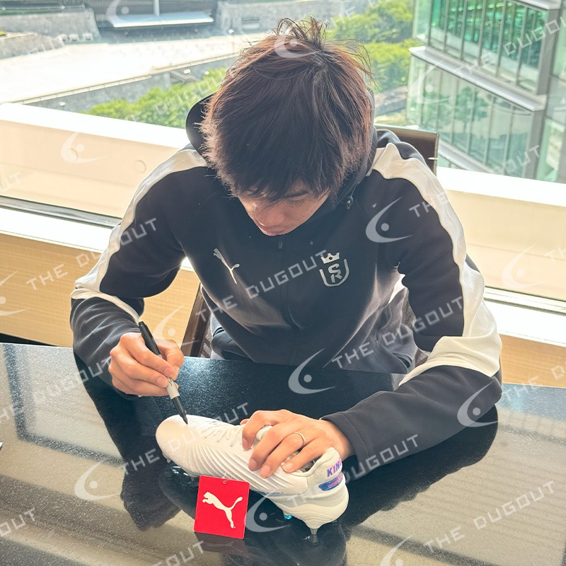 ������� ľɮ����������24/25���ѥ��� (�ס��� ���� ����ƥ���å�)