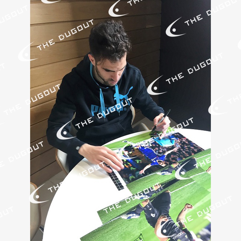�ե��֥쥬��ľɮ��������������륷��16/17�ե��������ե졼������