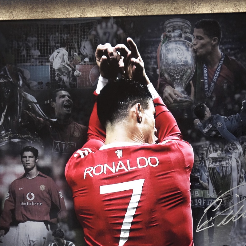 [��������50��] ���ʥ���ľɮ���������ꥰ��ե��å������� "Majestic"