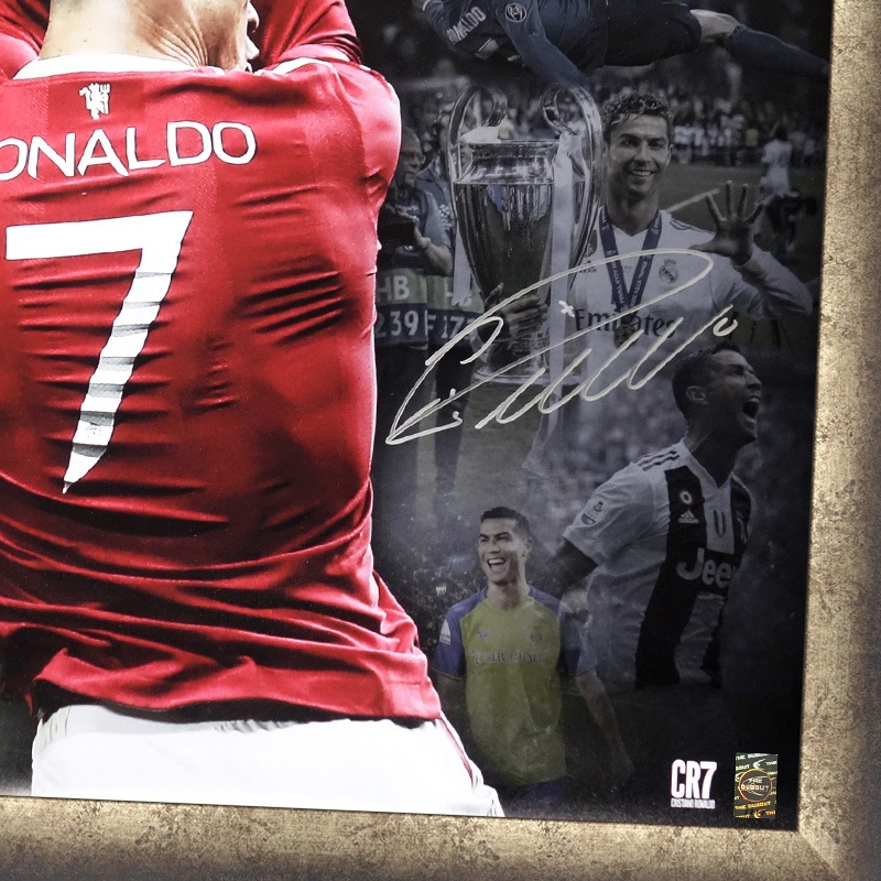 [��������50��] ���ʥ���ľɮ���������ꥰ��ե��å������� "Majestic"