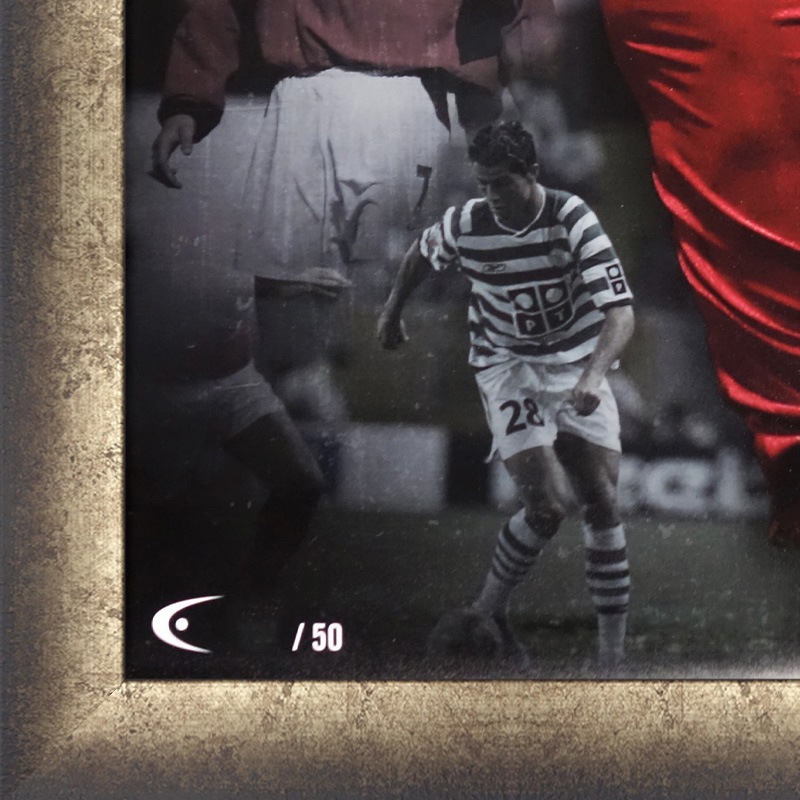 [��������50��] ���ʥ���ľɮ���������ꥰ��ե��å������� "Majestic"