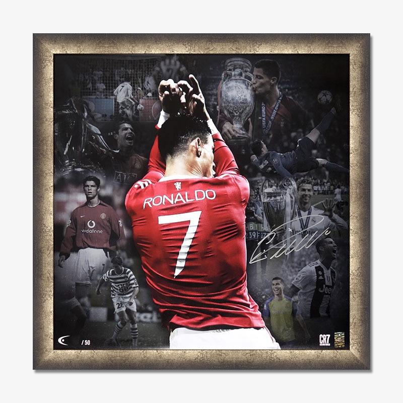 [��������50��] ���ʥ���ľɮ���������ꥰ��ե��å������� "Majestic"