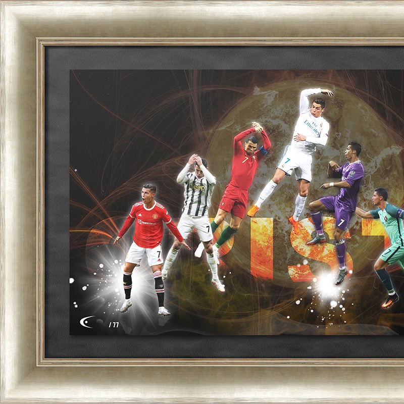 [��������77��] ���ʥ���ľɮ����������ѥΥ�ߥå������� "SOL"