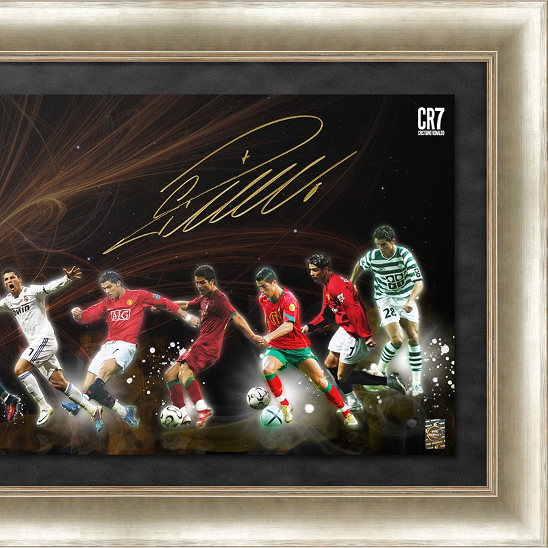 [��������77��] ���ʥ���ľɮ����������ѥΥ�ߥå������� "SOL"