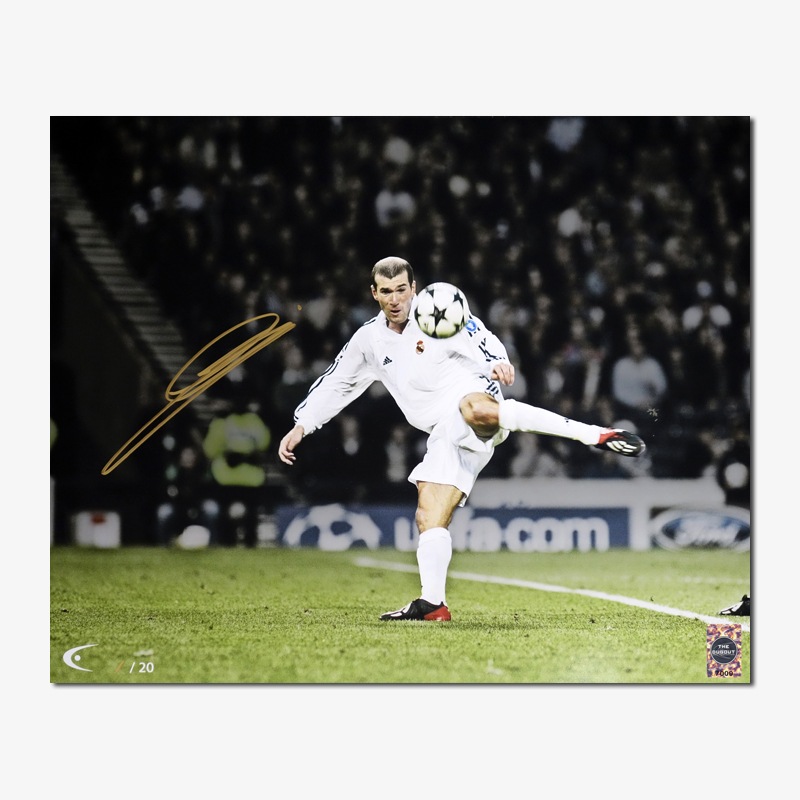 [��������20��] ������ľɮ���������ꥰ��ե��å�������