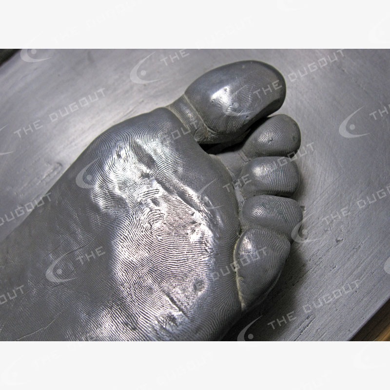 �ǥ������åɡ��٥å����й�­�� (�ޥ��ࡦ���å���2002����)