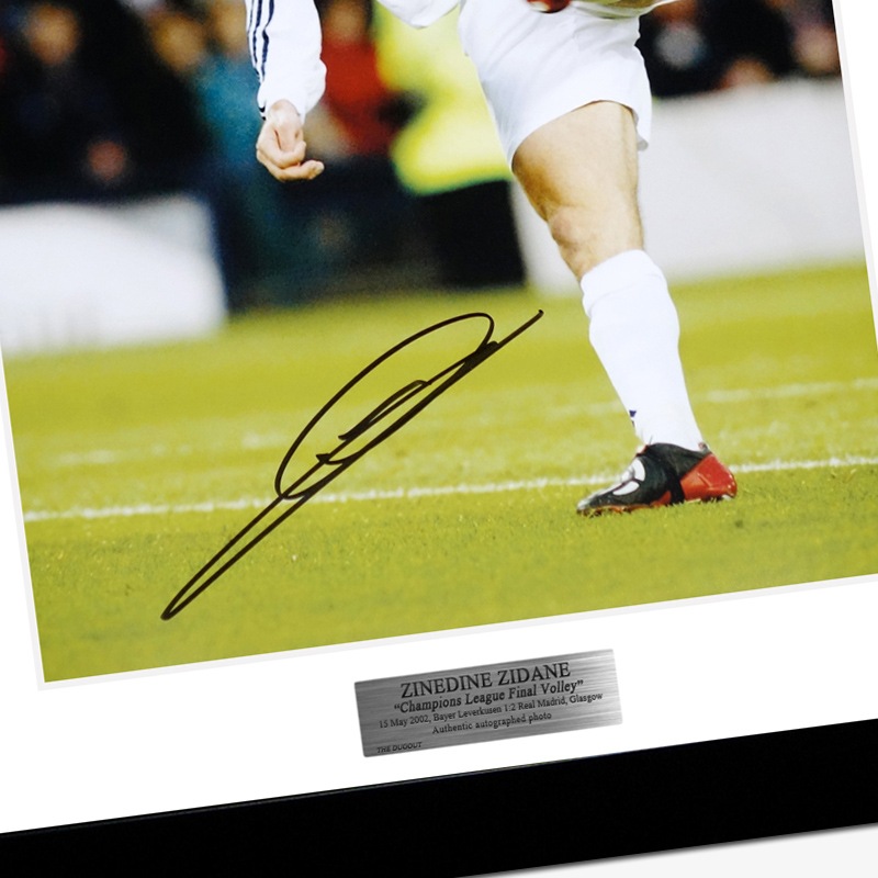 ������ľɮ����������쥢��ޥɥ꡼��01/02�ե��������ե졼������