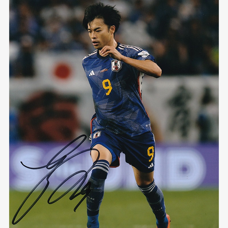 ������ ľɮ����������������ɽ2022�ե��� (A4)