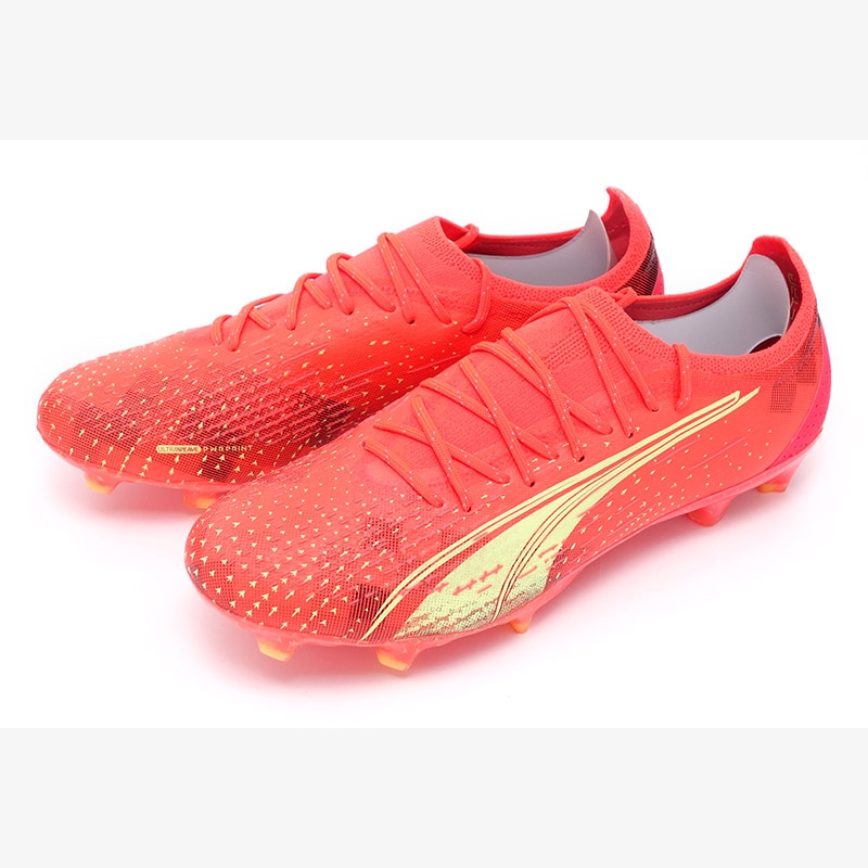 ������ ľɮ����������2022���ѥ��� (�ס��� ����ȥ� ����ƥ���å�)