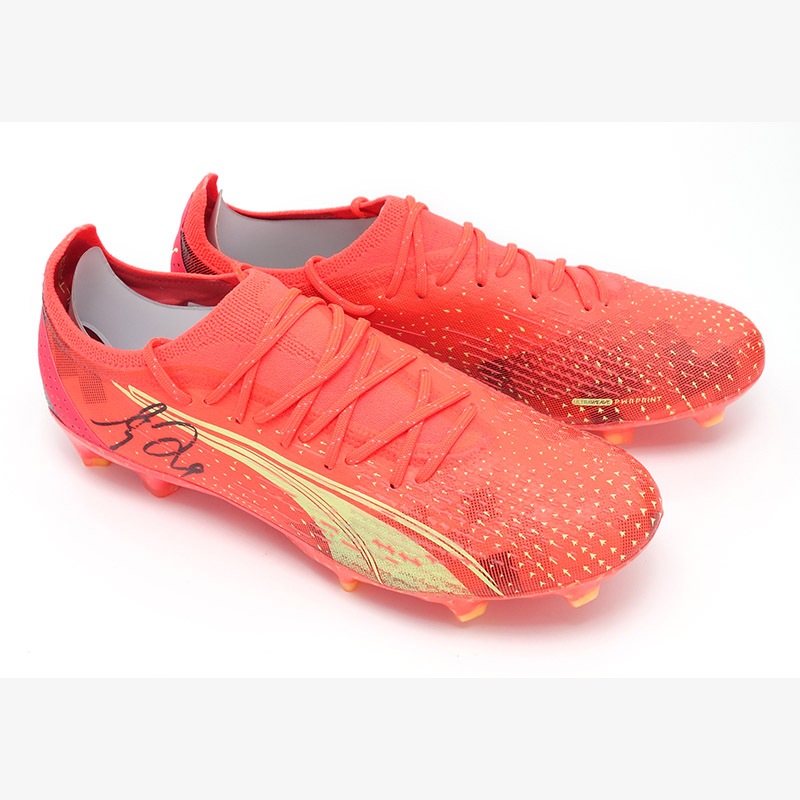 ������ ľɮ����������2022���ѥ��� (�ס��� ����ȥ� ����ƥ���å�)