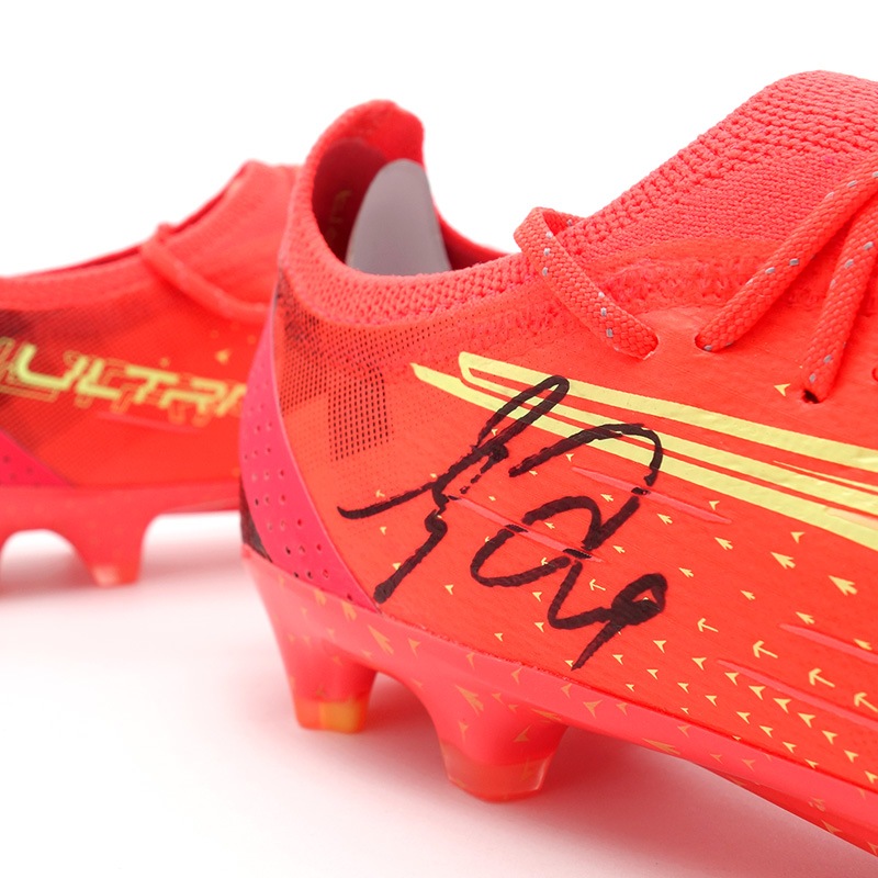 ������ ľɮ����������2022���ѥ��� (�ס��� ����ȥ� ����ƥ���å�)