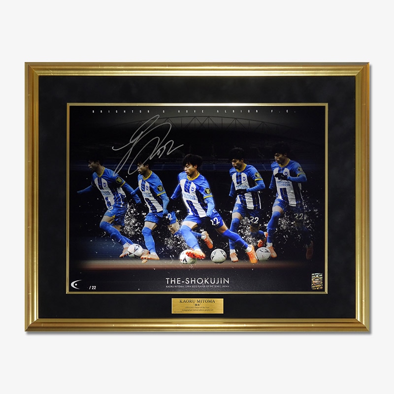 [��������22��] ������ ľɮ���������ꥰ��ե��å������� "The-Shokujin"