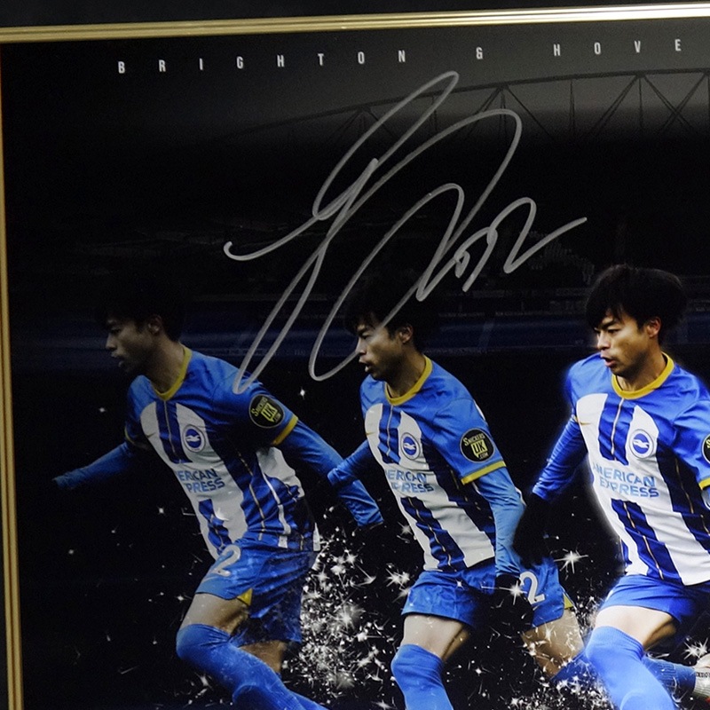 [��������22��] ������ ľɮ���������ꥰ��ե��å������� "The-Shokujin"