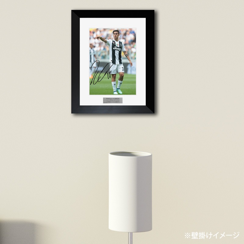 �ǥ��Х�ľɮ�����������٥�ȥ�17/18�ե��������ե졼�� (�ե꡼���å�)