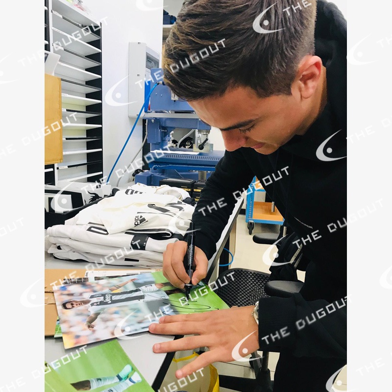 �ǥ��Х�ľɮ�����������٥�ȥ�17/18�ե��������ե졼�� (�ե꡼���å�)