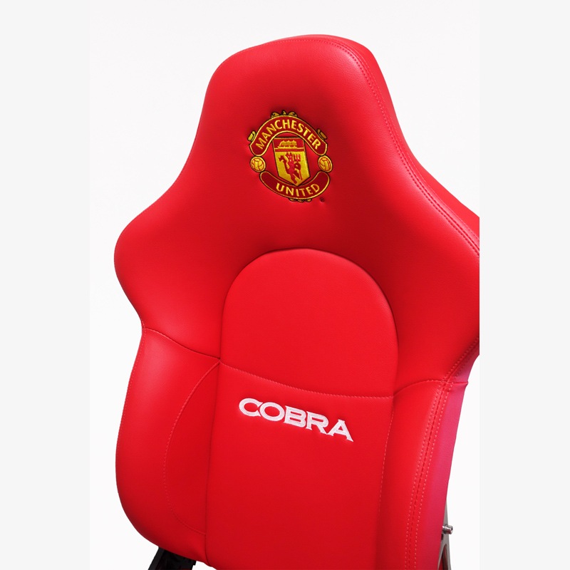 �ޥ������������08/09���������ȥ�����(COBRA����)