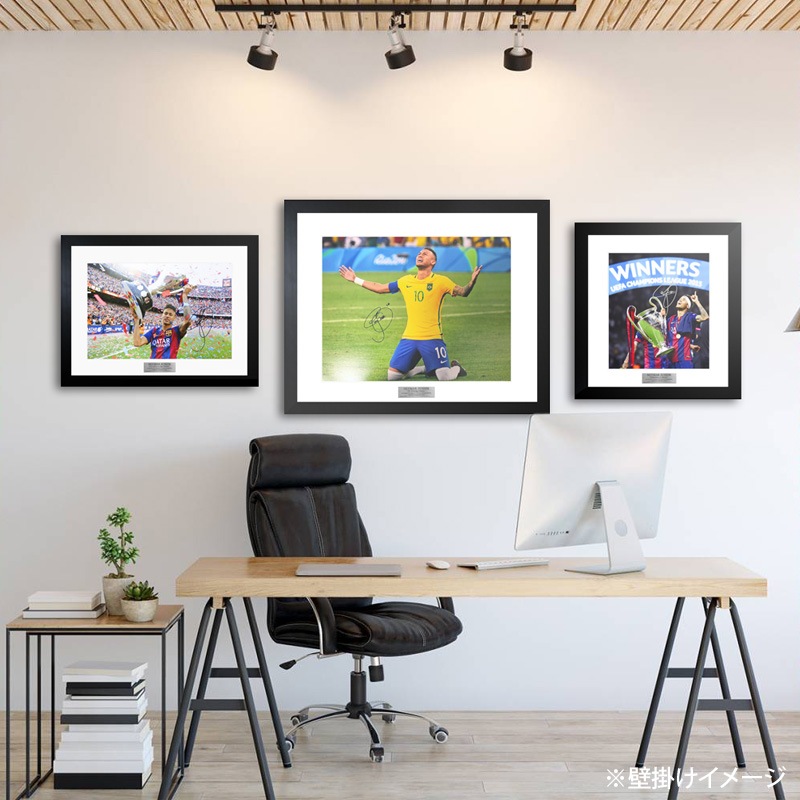 �ͥ��ޡ���ľɮ����������֥饸����ɽ2016�ե��������ե졼��(��)