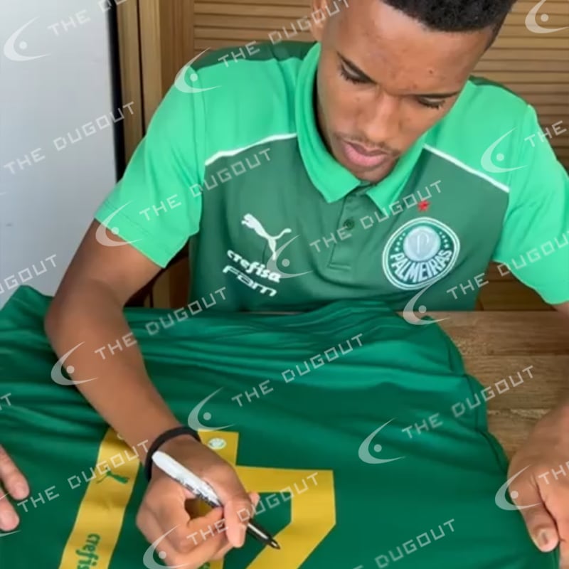 �����ƥХ�ľɮ����������ѥ�ᥤ�饹2024�ۡ����˥ե�����