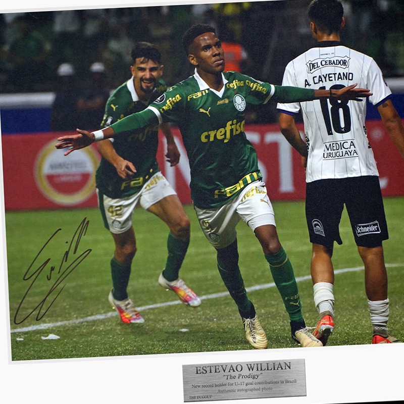 �����ƥХ�ľɮ����������ѥ�ᥤ�饹2024�ե��������ե졼�� (����֥졼�����)