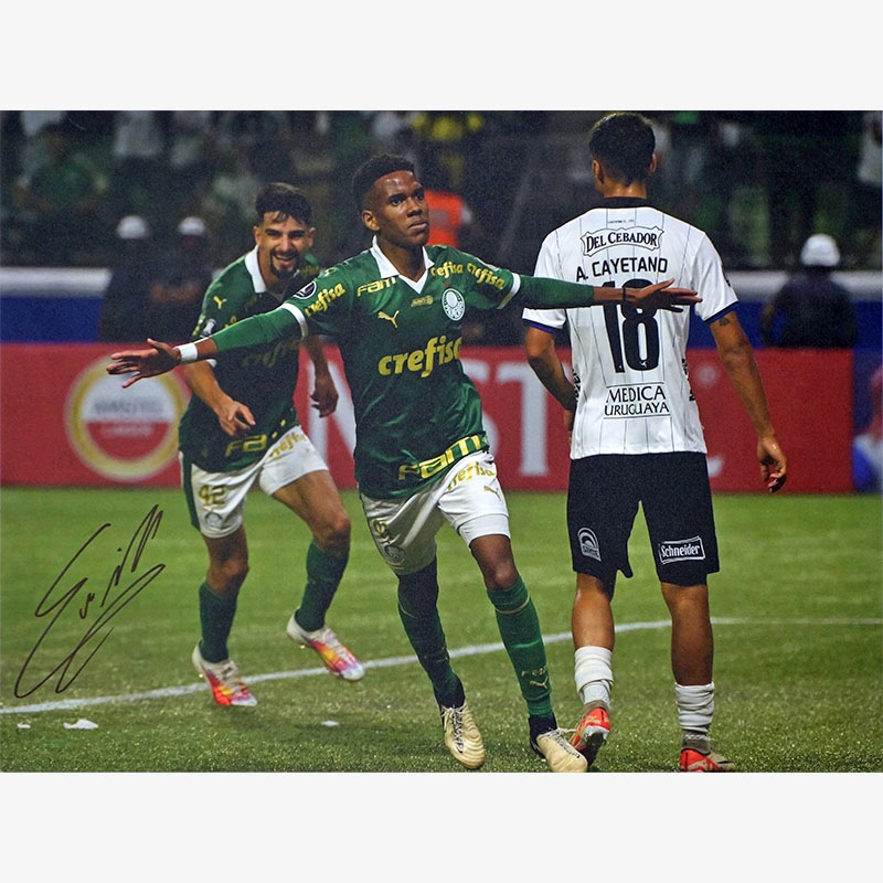 �����ƥХ�ľɮ����������ѥ�ᥤ�饹2024�ե��������ե졼�� (����֥졼�����)