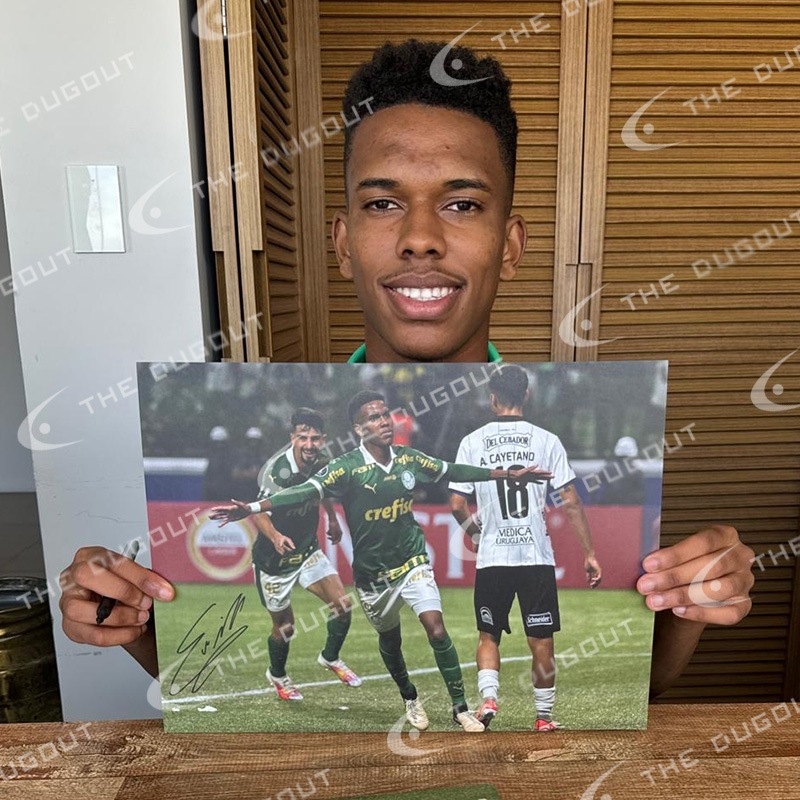 �����ƥХ�ľɮ����������ѥ�ᥤ�饹2024�ե��������ե졼�� (����֥졼�����)