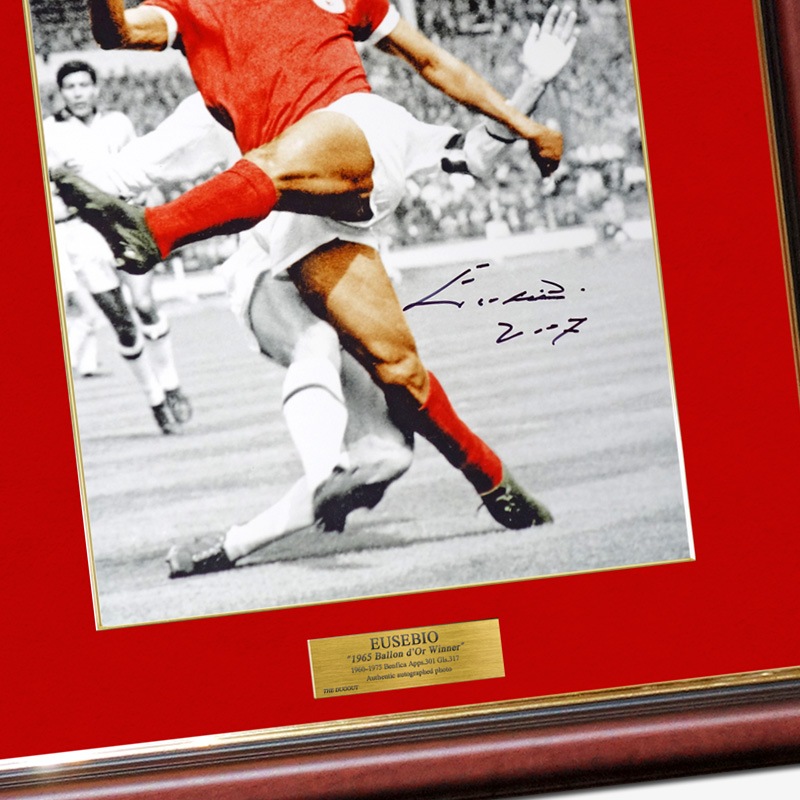 �������ӥ�ľɮ����������٥�ե���62/63�ե��������ե졼��