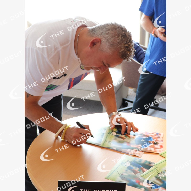 �Хå���ľɮ���������ꥤ���ꥢ��ɽ1994�ե��������ե졼��