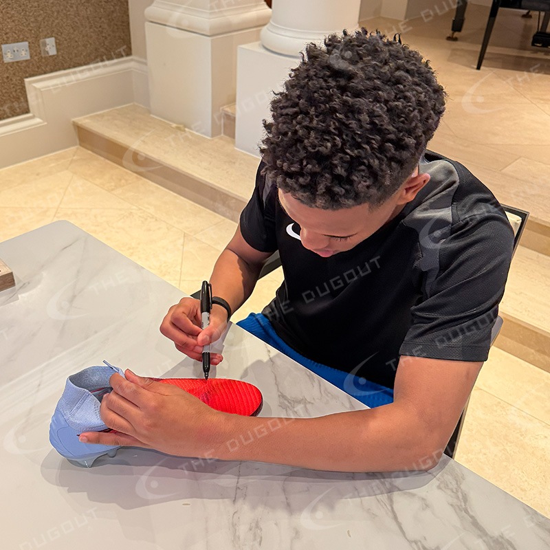 �����ƥХ�ľɮ����������25/26���ѥ��� (�ʥ��� �ե���ȥ� 6 HIGH ���꡼��)