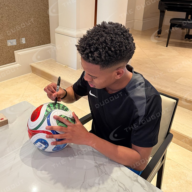 �����ƥХ�ľɮ����������W��2026���å����ܡ���