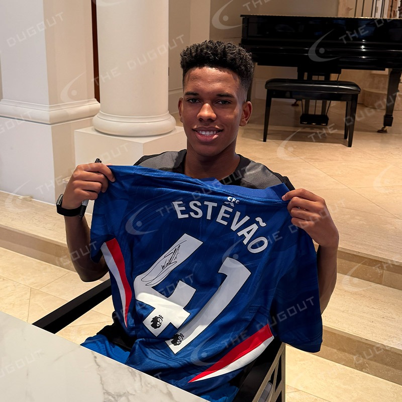 �����ƥХ�ľɮ��������������륷��25/26�ۡ����˥ե����� (�꡼��)