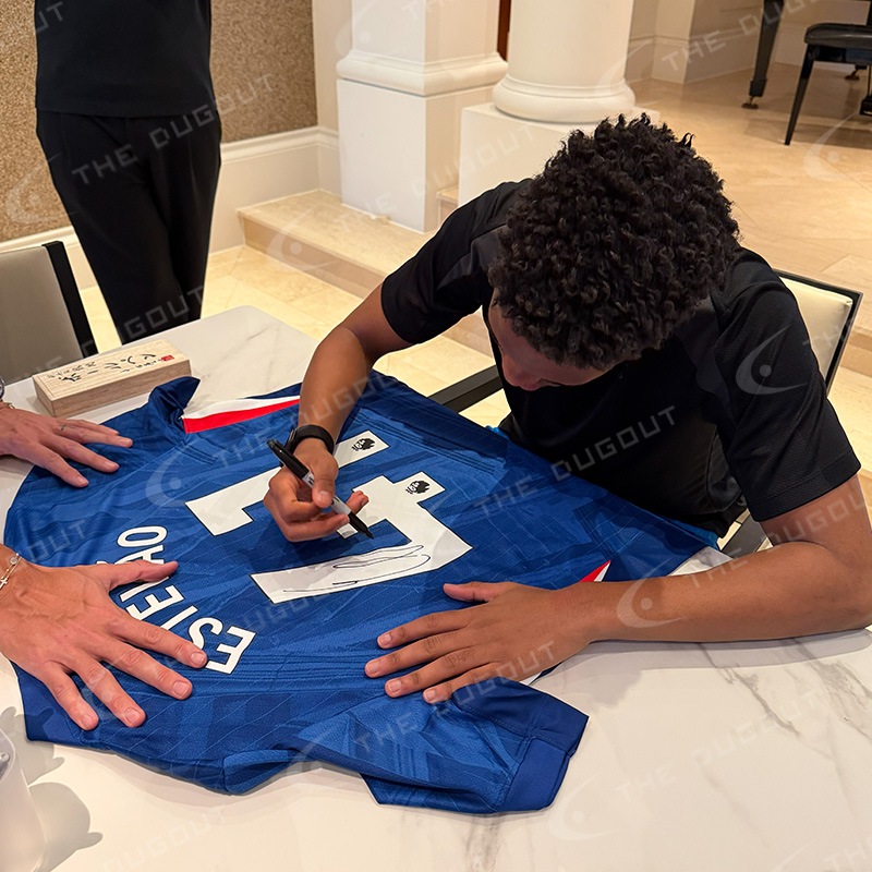 �����ƥХ�ľɮ��������������륷��25/26�ۡ����˥ե����������ե졼��