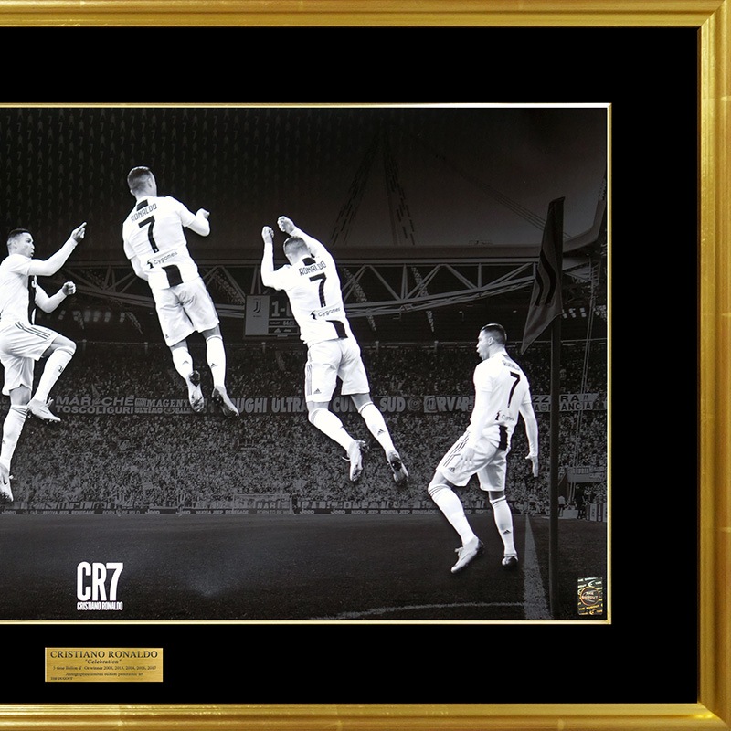 [��������30��] ���ʥ���ľɮ����������ѥΥ�ߥå������� "The Celebration"