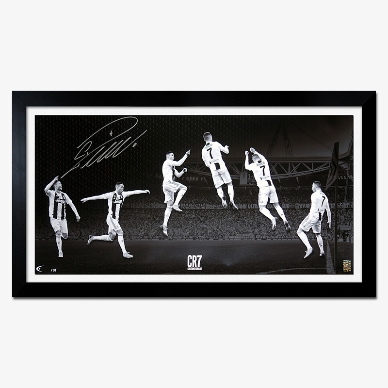 [��������30��] ���ʥ���ľɮ����������ѥΥ�ߥå������� "The Celebration"