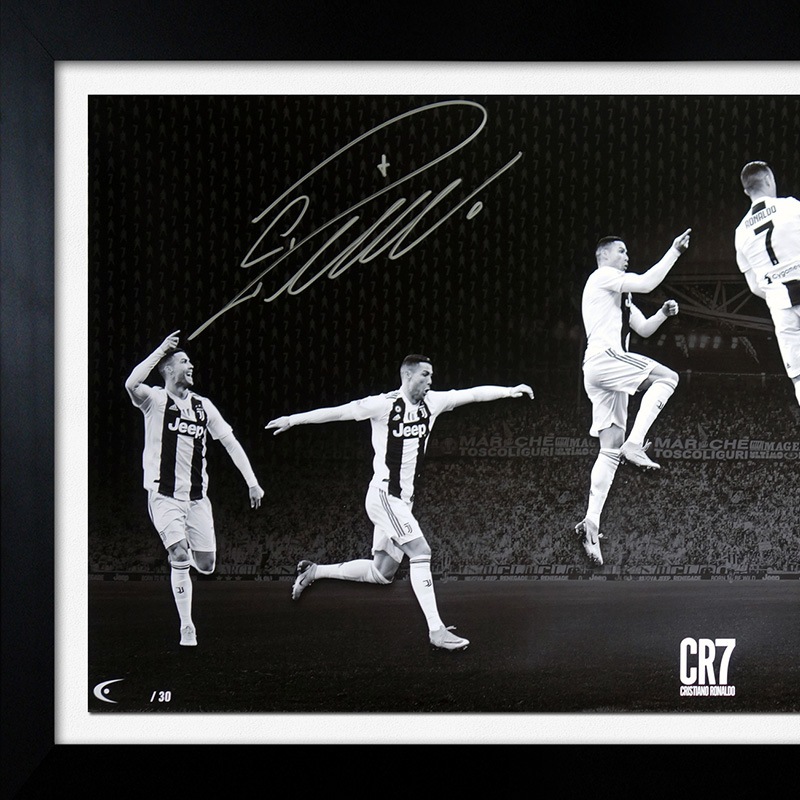 [��������30��] ���ʥ���ľɮ����������ѥΥ�ߥå������� "The Celebration"