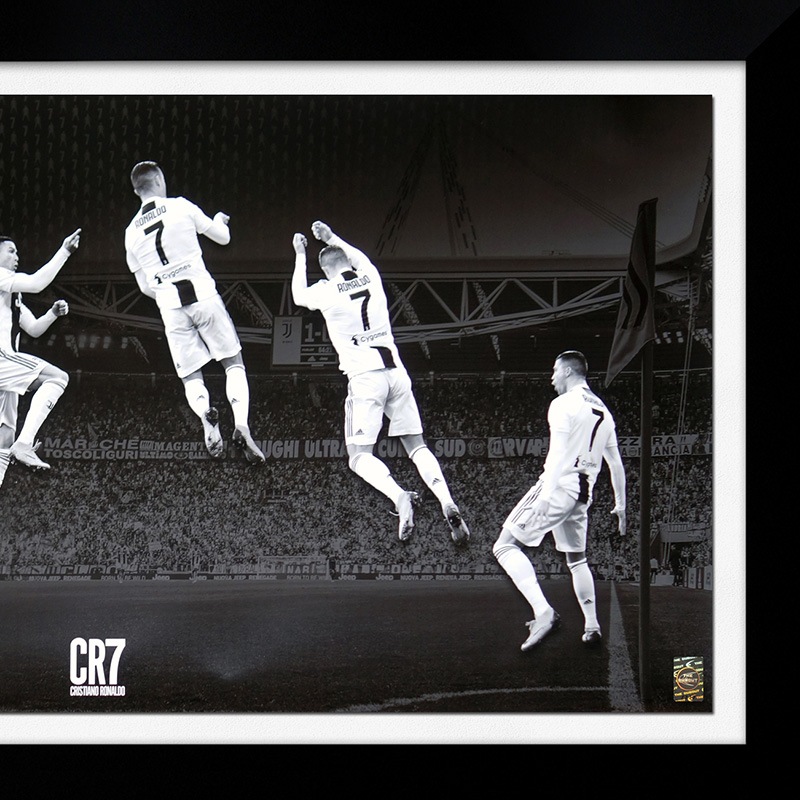 [��������30��] ���ʥ���ľɮ����������ѥΥ�ߥå������� "The Celebration"