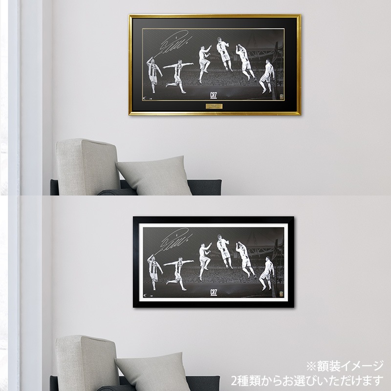 [��������30��] ���ʥ���ľɮ����������ѥΥ�ߥå������� "The Celebration"