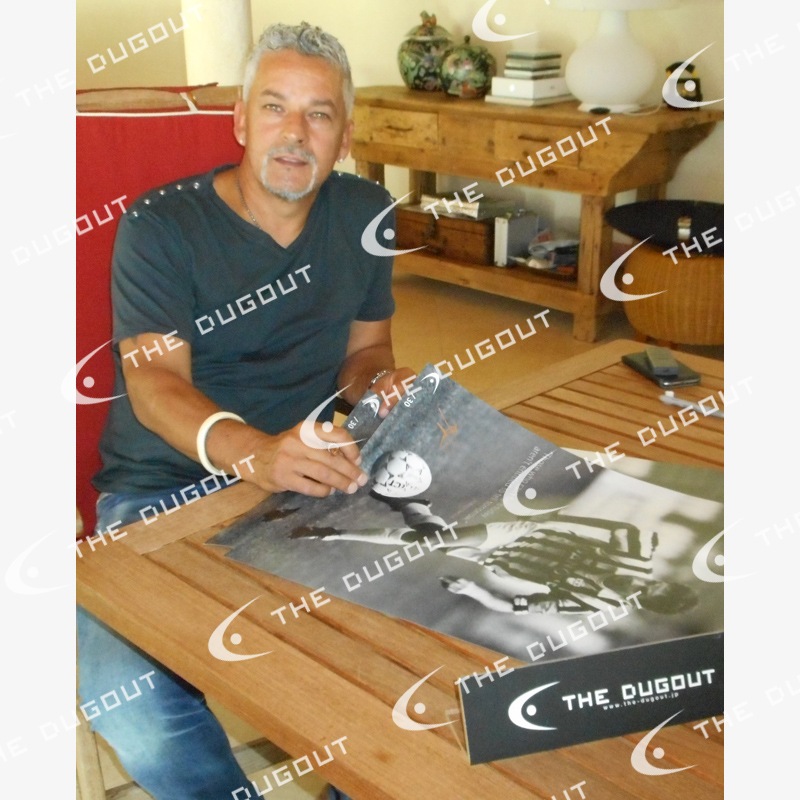 [��������30��] �Хå���ľɮ���������ꥯ�����ȥ����� "Determination"