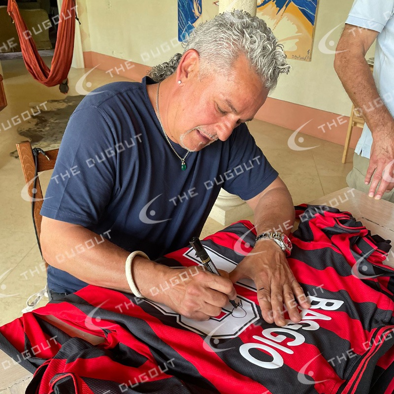 �Хå���ľɮ����������AC�ߥ��95/96�ۡ����˥ե����������ե졼��