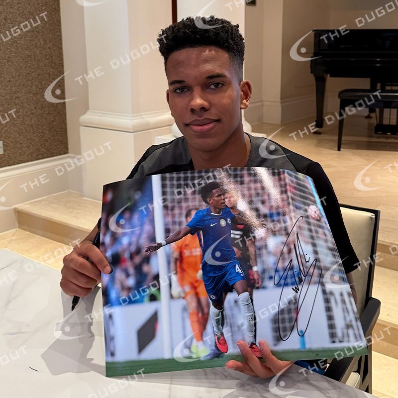 �����ƥХ�ľɮ��������������륷��25/26�ե��� (����֥졼�����)