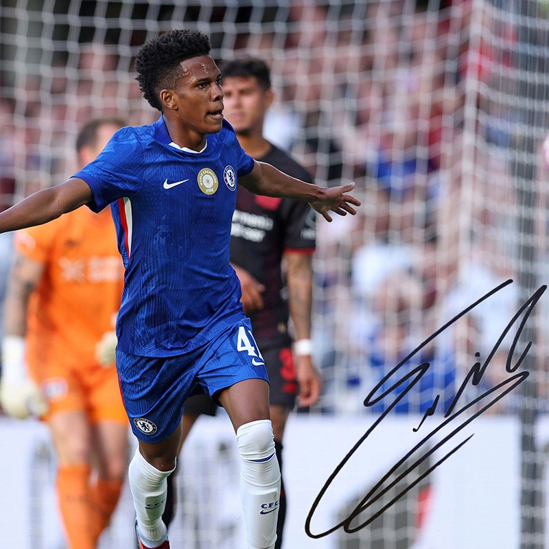 �����ƥХ�ľɮ��������������륷��25/26�ե��������ե졼�� (����֥졼�����)