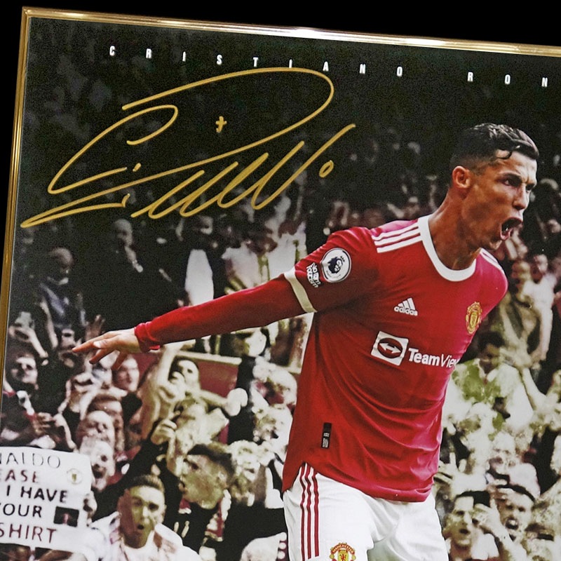 [��������30��] ���ʥ���ľɮ���������ꥰ��ե��å������� "Immense Impact"