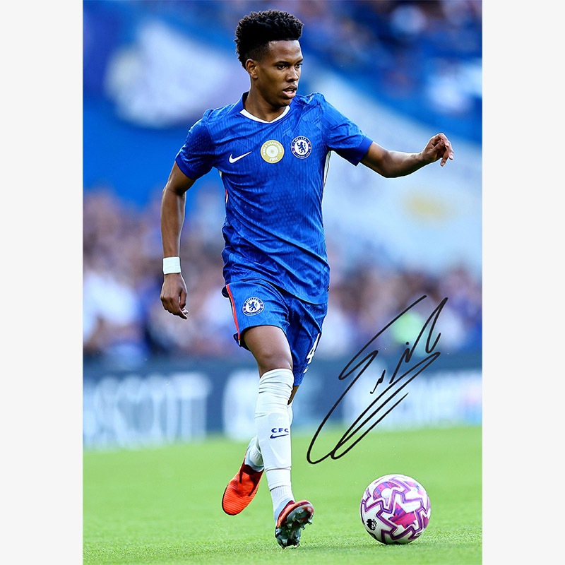 �����ƥХ�ľɮ��������������륷��25/26�ե��� (A4)