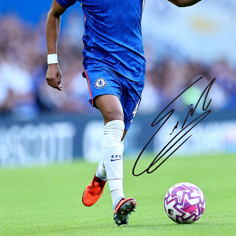 �����ƥХ�ľɮ��������������륷��25/26�ե��� (A4)