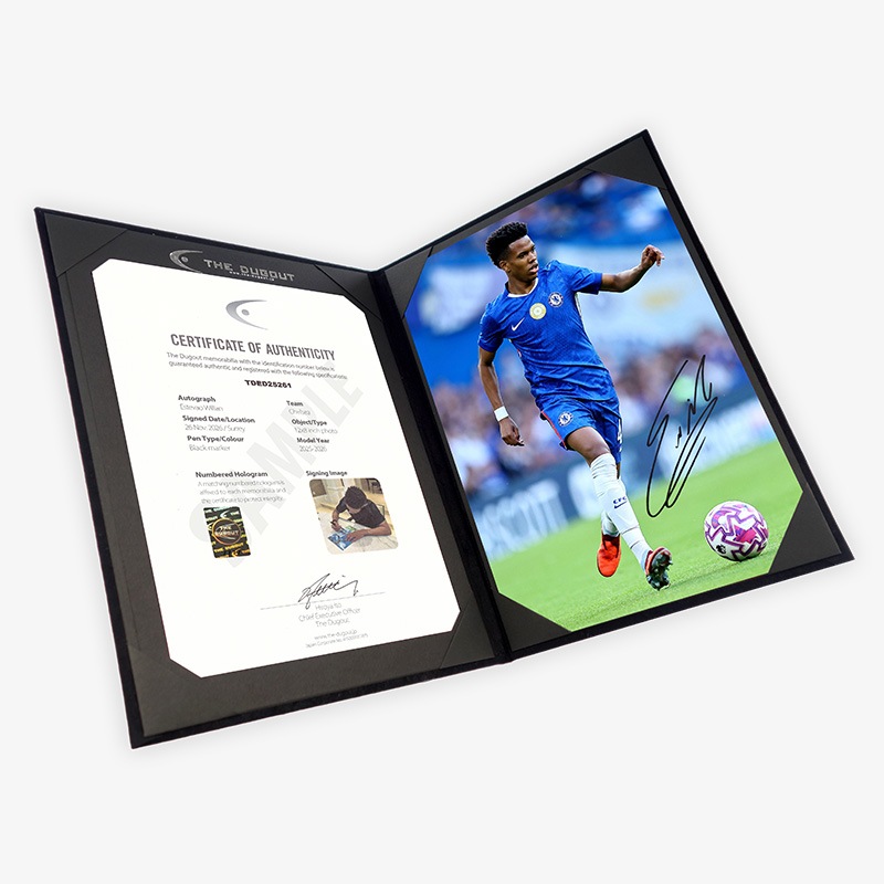 �����ƥХ�ľɮ��������������륷��25/26�ե��� (A4)