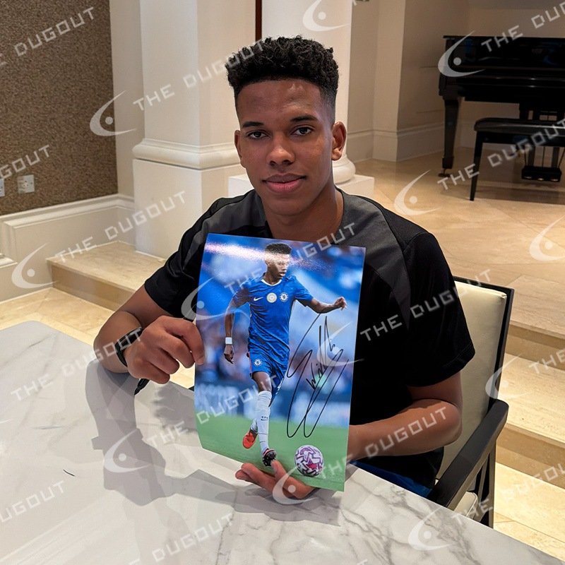 �����ƥХ�ľɮ��������������륷��25/26�ե��������ե졼�� (A4)