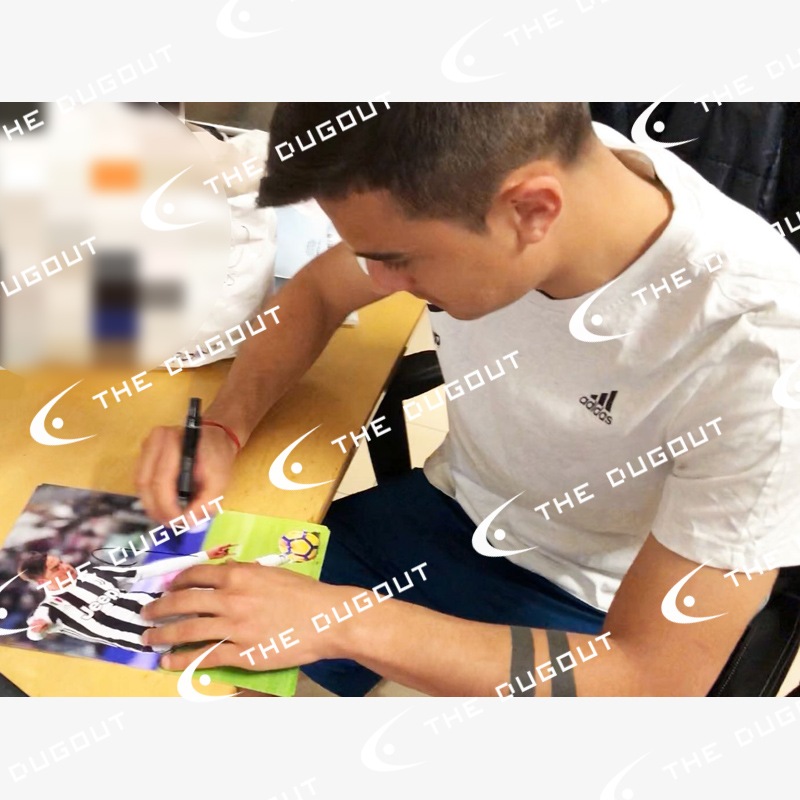 �ǥ��Х�ľɮ�����������٥�ȥ�17/18�ե��������ե졼�� (�ե꡼���å�)